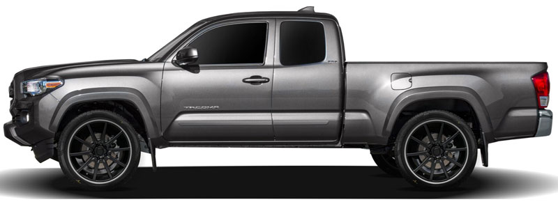 Toyota Tacoma Access Cab Lower Door Painted Body Side Moldings